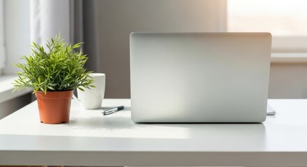 A laptop, a plant, a mug, and a pen on a white desk near a window light