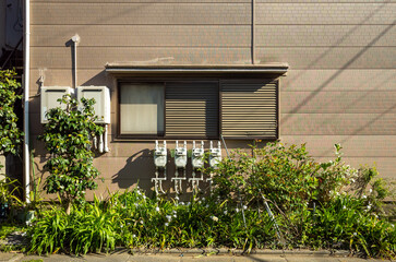 アパートの壁と窓と植物