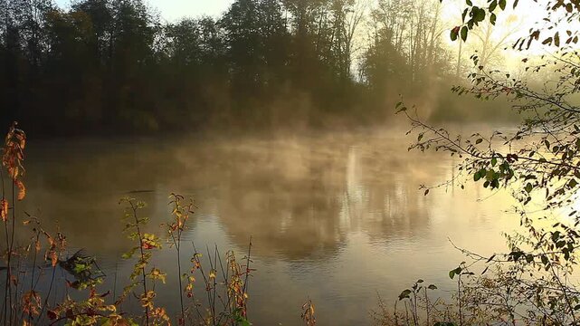 a video of a early morning  misty Nisqually River at Nisqually Nature Wildlife Preserve Washington State