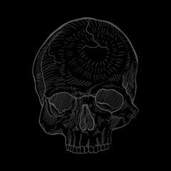 Anatomical Skull Line Art on Black