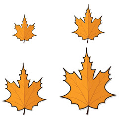 Obraz premium Autumn leaves. autumn leaf. autumn leaves background vectoor cartoon illustration