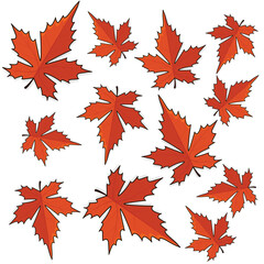 Fototapeta premium Autumn leaves. autumn leaf. autumn leaves background vectoor cartoon illustration