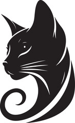 black cat on white background