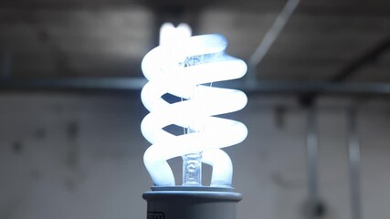 Compact Fluorescent Light Bulb Turning on and Burning Brightly