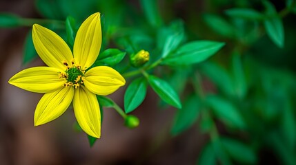 A vibrant close-up of a blooming yellow flower with green leaves, bokeh background