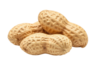 Peanuts in shell transparent background cutout png