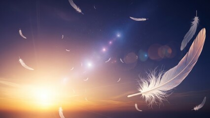 Floating feathers against sunset sky abstract concept