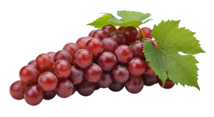 Fresh red grapes with green leaves detailed close up isolated on transparent background