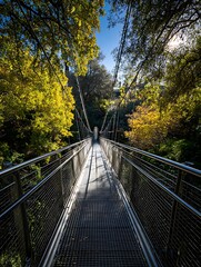 A steel suspension bridge surrounded by lush green and golden trees under a bright blue sky