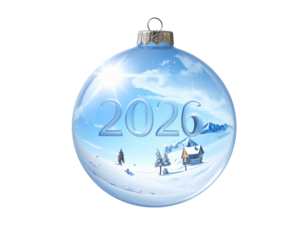 Christmas ornament with 2020 winter scene and houses inside