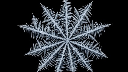 Detailed macro photograph of a symmetrical ice crystal snowflake structure
