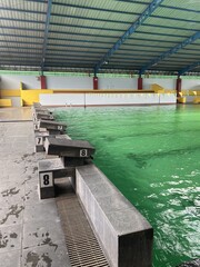 Ready to Dive: Indoor Swimming Pool