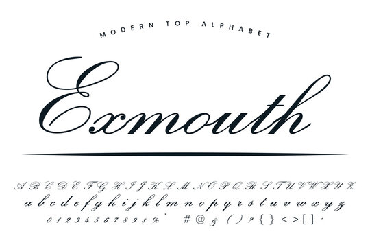 Exmouth font and alphabet set of vector calligraphy letter a b c d script font isolated letters