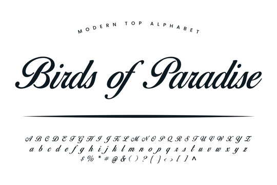 Birds of Paradise font and alphabet set of vector calligraphy letter a b c d script font isolated letters