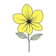 flower line art illustration