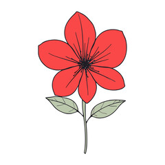flower line art illustration
