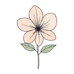 flower line art illustration