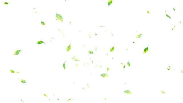 水彩風　手描きなかわいい葉っぱが中央から回りながら舞う[背景白色]Watercolor style:Hand-drawn cute leaves spinning and dancing from the center[White Background]