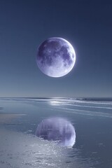 Peaceful Moonlit Beach Scene at Night