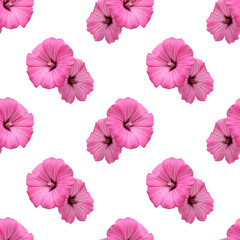 lavatera on white background. seamless pattern, pink flowers
