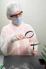 A researcher in protective gear examines an aloe plant leaf with a magnifying glass.