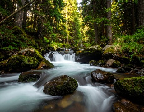 Serene forest stream with flowing water, rocks, and trees - Powered by Adobe