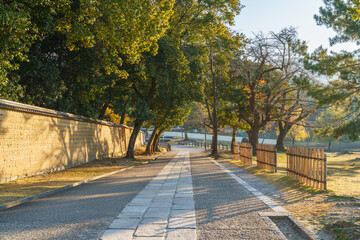 東大寺周辺の道 早朝 2025年12月7日（奈良）