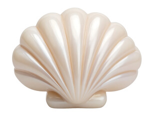 Smooth White Shell Soap with Curved Edges