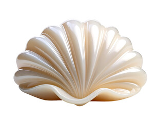 Smooth Curved Soap Shell on White Background
