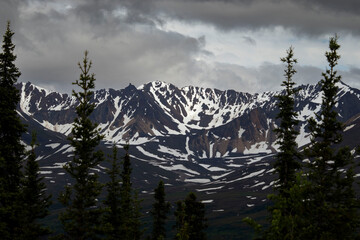 Mountains on the Denali Highway