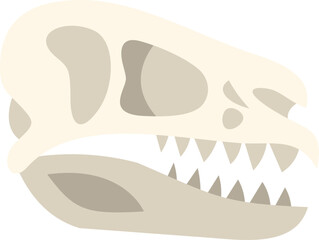 Side view of carnivorous dinosaur skull with sharp teeth