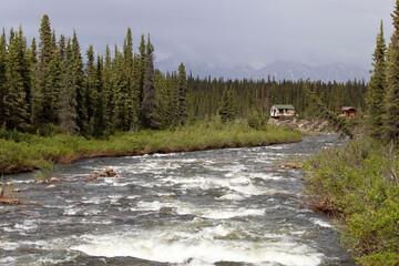 Cabin on the Denali Highway