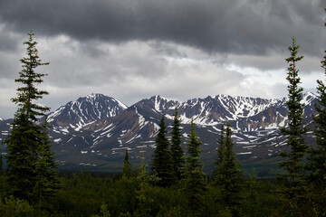 Mountains on the Denali Highway
