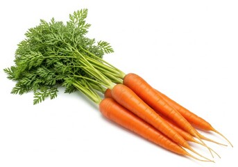 Fresh bunch of carrots with green tops, healthy root vegetable, isolated on white background