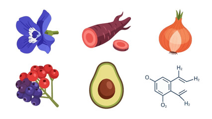 Vector art of nature elements in a vector set, icon design showcasing vector graphics.