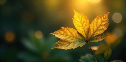 Close-up of shimmering, golden leaves, bathed in ethereal light, hinting at an ancient, mystical power Perfect for fantasy, fairytale, or magical themes , backdrop, sparkling, gold