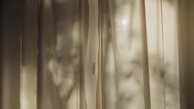 Early morning sunrise light or afternoon sunset shining behind window curtain. Shadows of tree or bush leaves and branches moving in wind appear on fabric drape inside house. Peaceful abstract moment