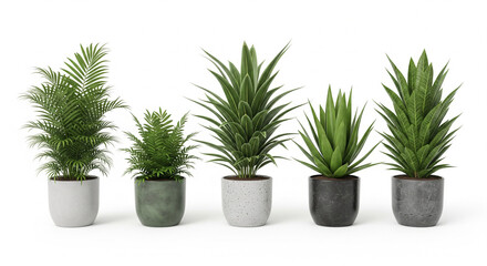 Obraz premium Diverse Houseplants: A curated collection of diverse, vibrant houseplants, each in a unique pot, showcasing the beauty of indoor nature, perfect for enhancing any interior space.
