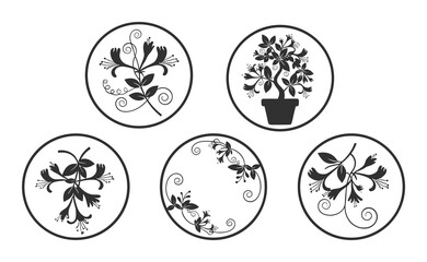 Black and white honeysuckle flower designs circular frames elegant floral illustration nature plant