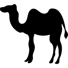 Camel Silhouette Islamic Illustration