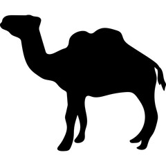 Camel Silhouette Islamic Illustration