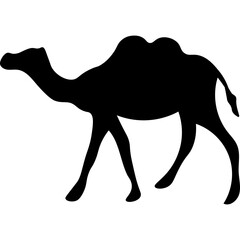 Camel Silhouette Islamic Illustration