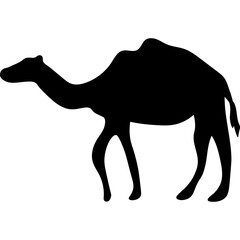 Camel Silhouette Islamic Illustration