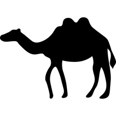 Camel Silhouette Islamic Illustration