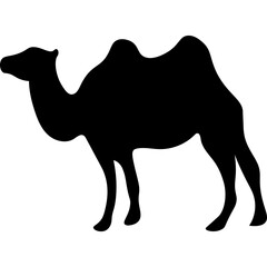 Camel Silhouette Islamic Illustration