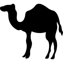 Camel Silhouette Islamic Illustration