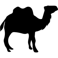 Camel Silhouette Islamic Illustration