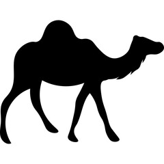 Camel Silhouette Islamic Illustration