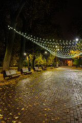 Illuminated park alley at night with fallen autumn leaves and string lights providing festive atmosphere. Nighttime city park walkway with decorative lighting.