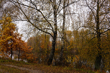 Autumn landscape with colorful trees reflected in water. Seasonal fall scenery with yellow and orange foliage by lake. Nature background for tranquil moment.